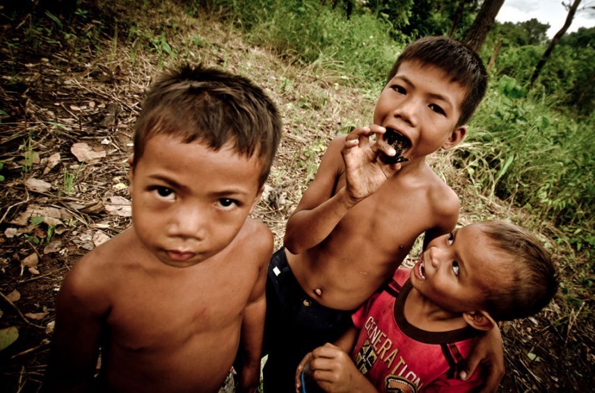 Infancia especial y horrible: los niños pobres de Camboya capturan y comen tarántulas venenosas